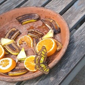 Meet your Posher, Sherry